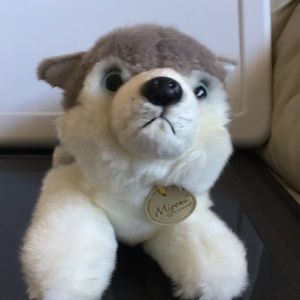 miyoni husky